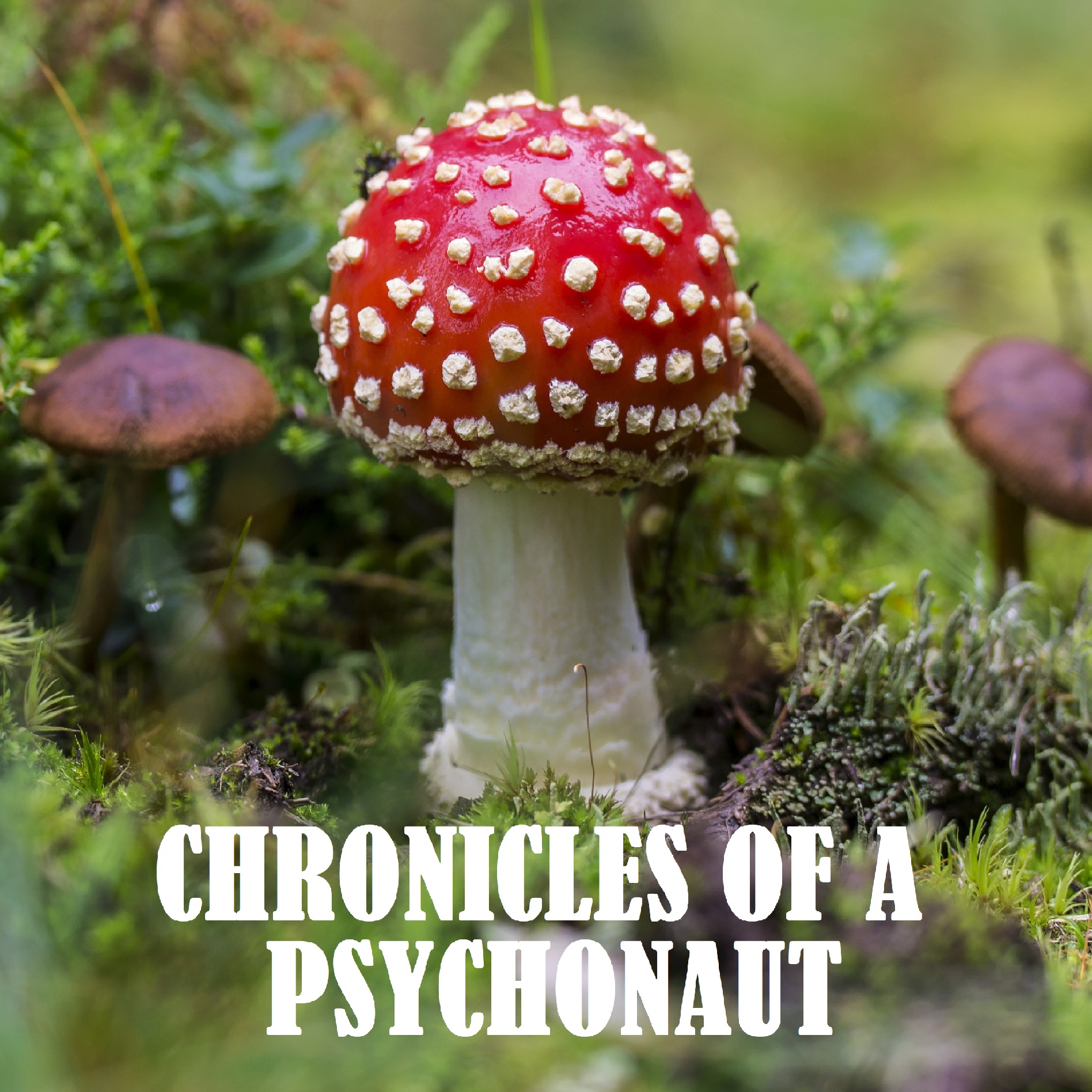 Chronicles of a Psychonaut