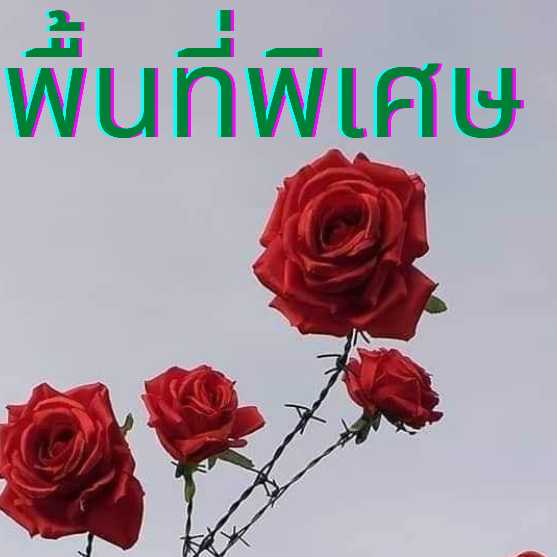 พื้นที่พิเศษ