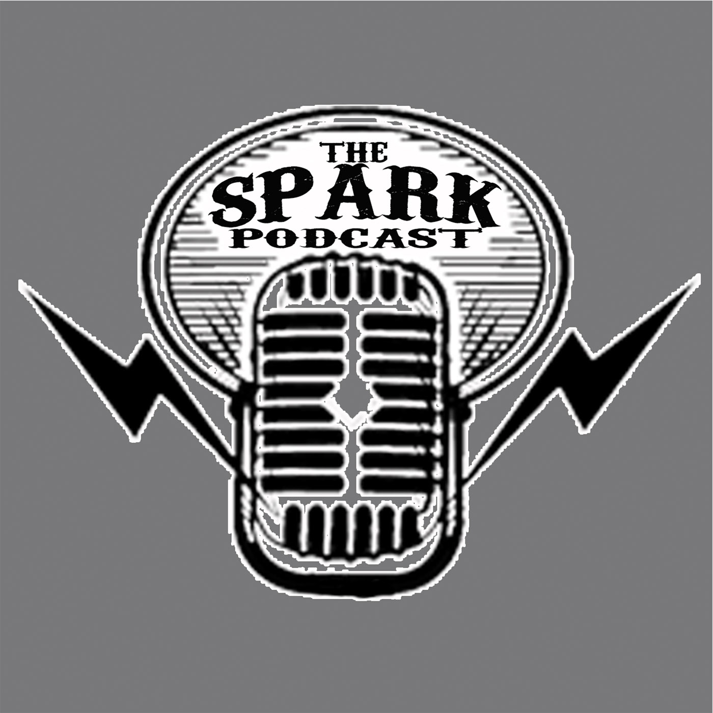 The Spark Podcast - with Troy Schaefer