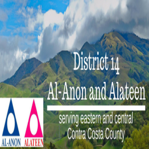 Bonnie S. Al-Anon AFG District 14 Speaker Meeting 01-26-19