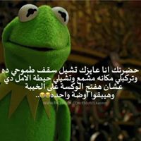 alaafarag271