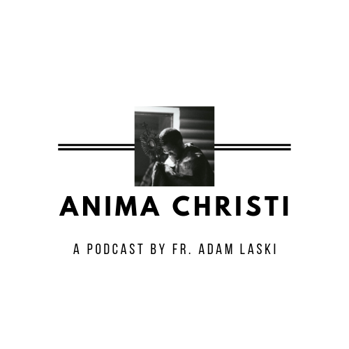 Anima Christi