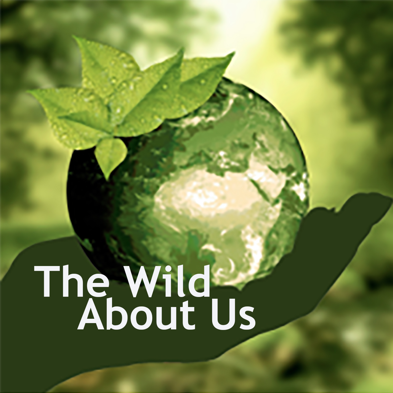 The Wild About Us