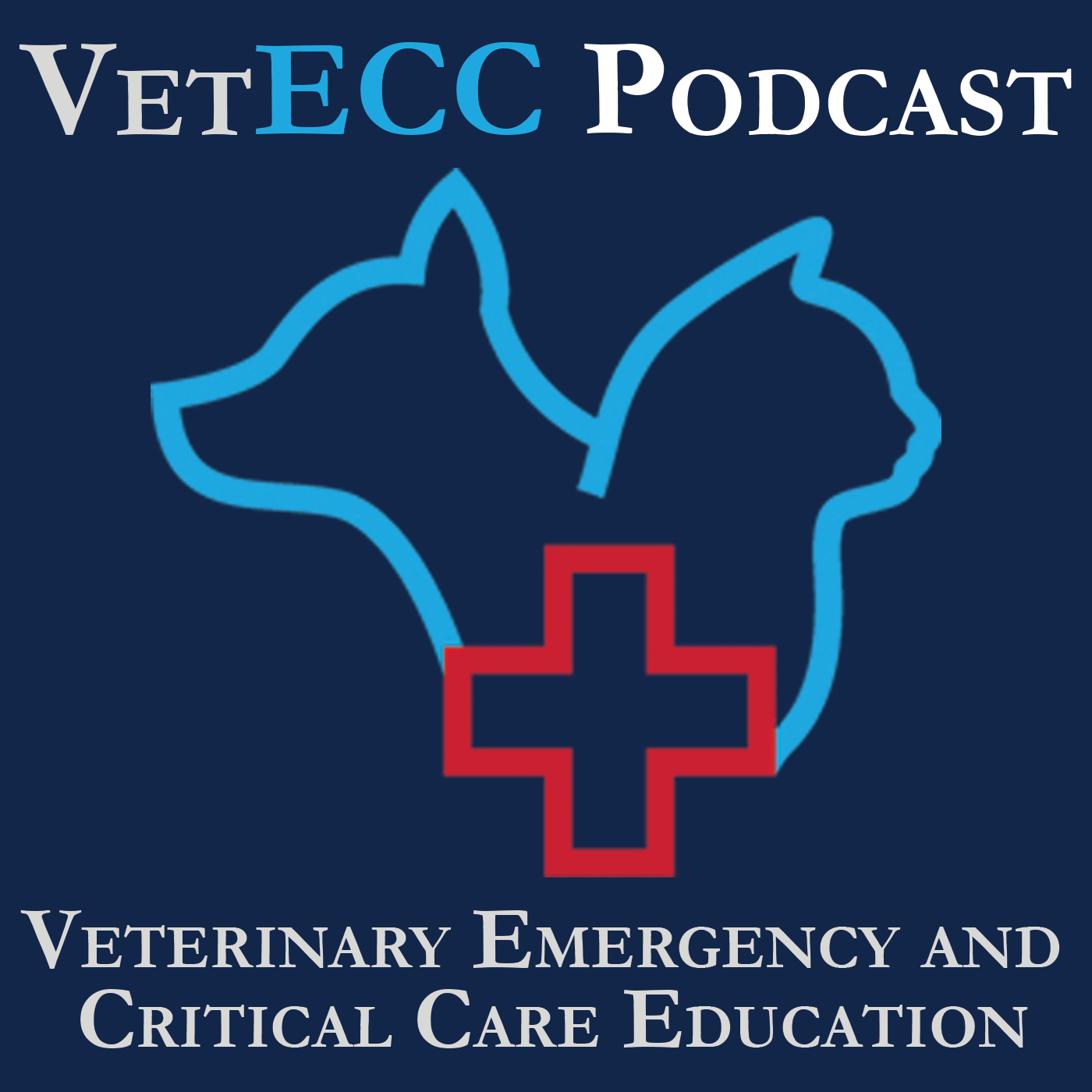 The VetECC Podcast