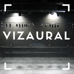 Every Vizaural Everywhere All at Once