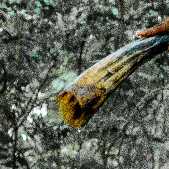 Ascent spirit
