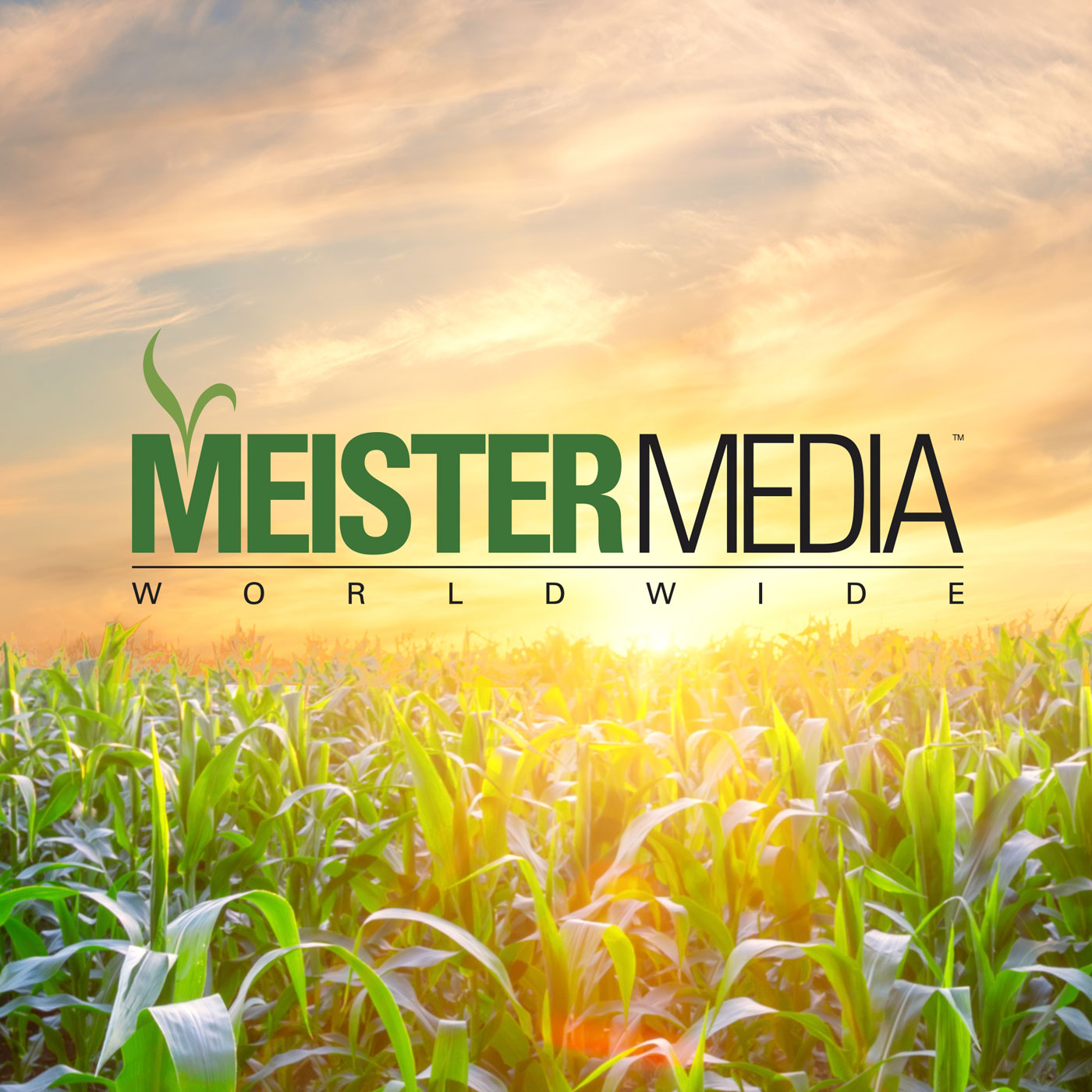 Profile logo