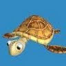 frozenturtle