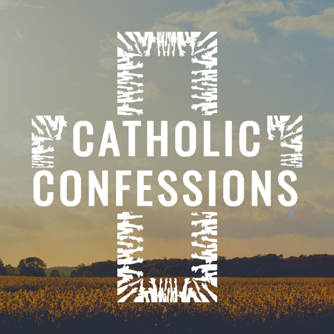 Catholic Confessions