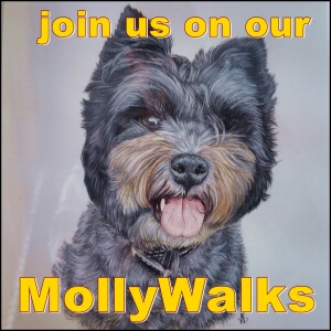 Early Morning Midweek Walk With Molly