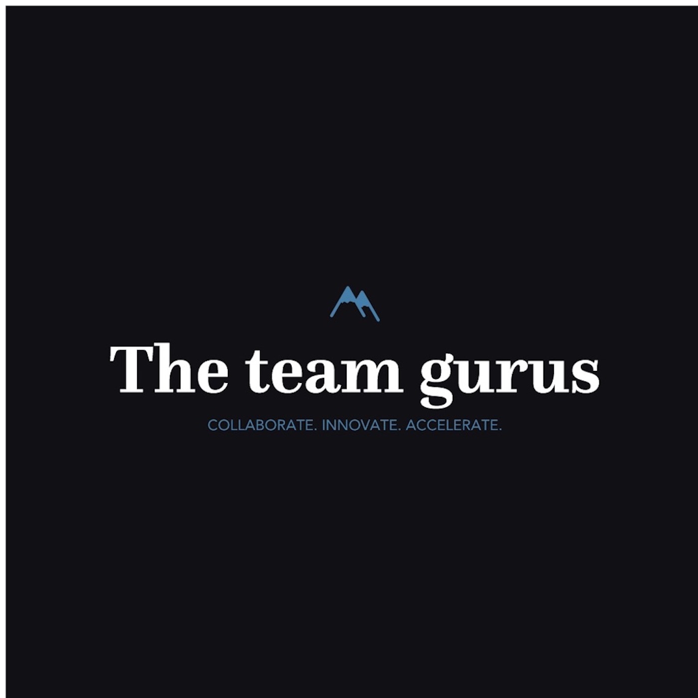 The Team Gurus