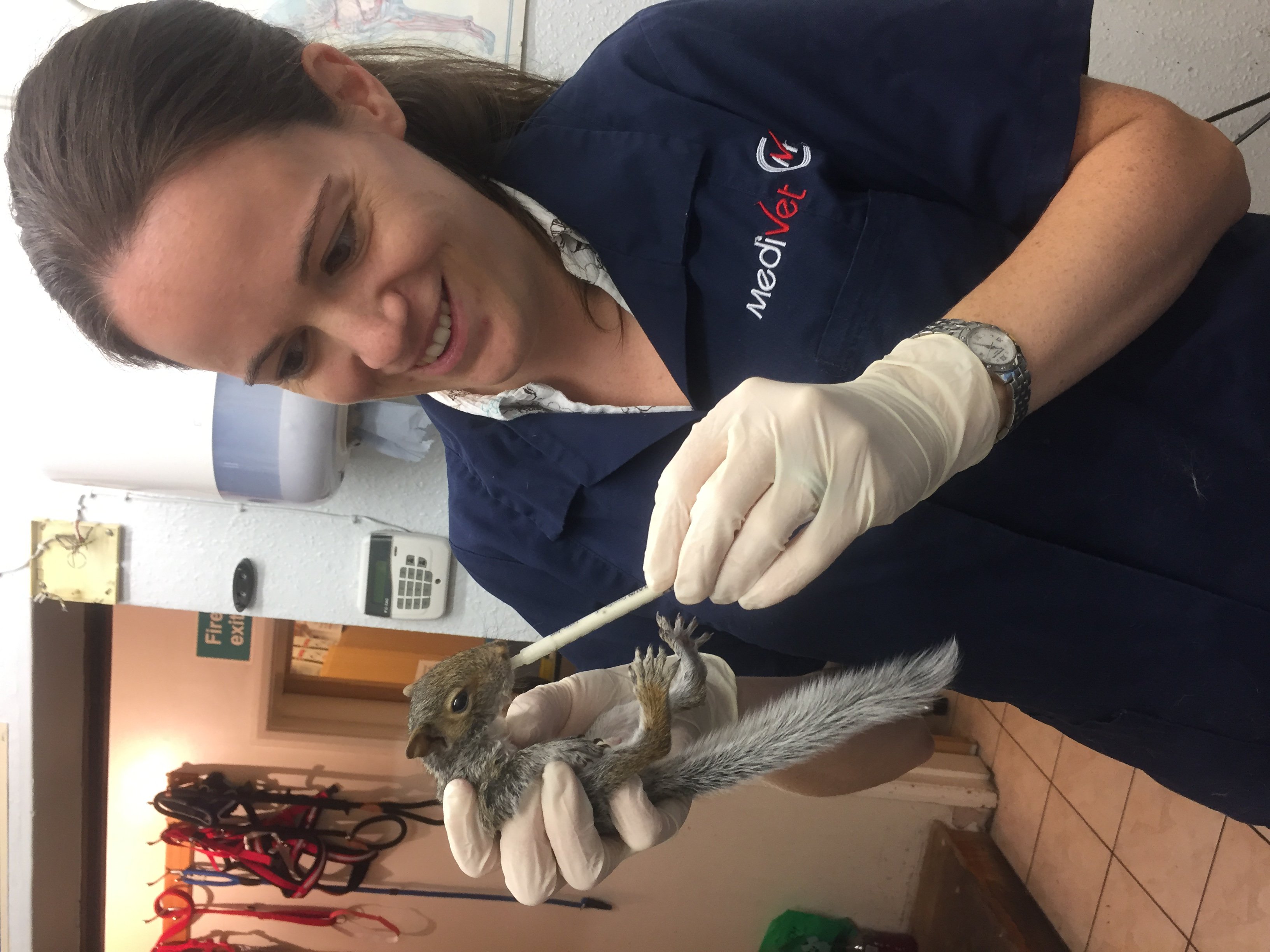 vetcast