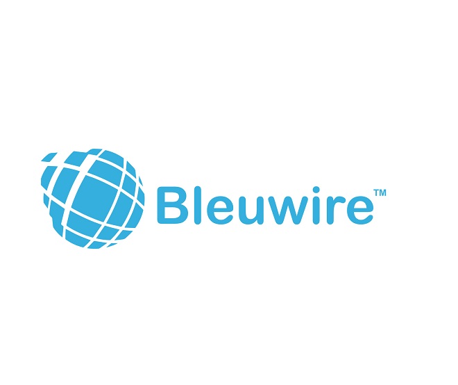 Bleuwire IT Services