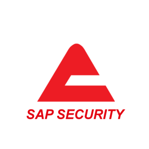 AGLEA SAP Security