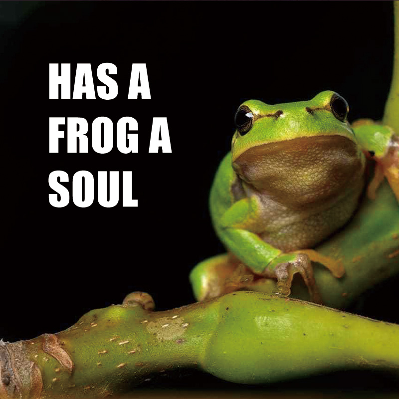 Has a Frog a Soul?