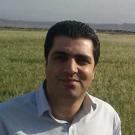 mirzaee13