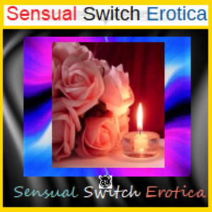 Sensual Switch Erotica