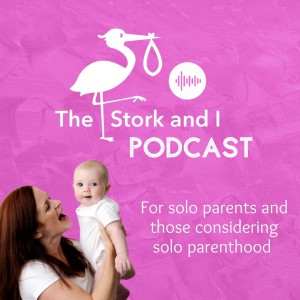 S3: 5: Writing a book about solo motherhood