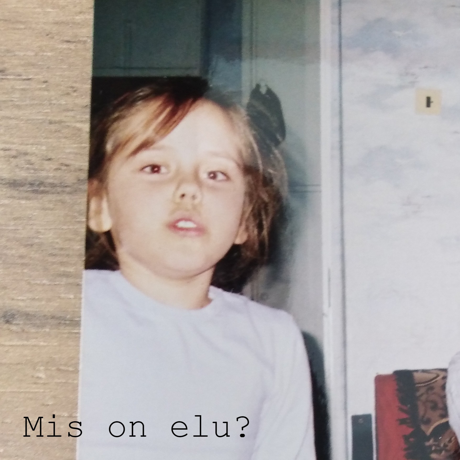 Mis on elu?