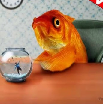 lordfish
