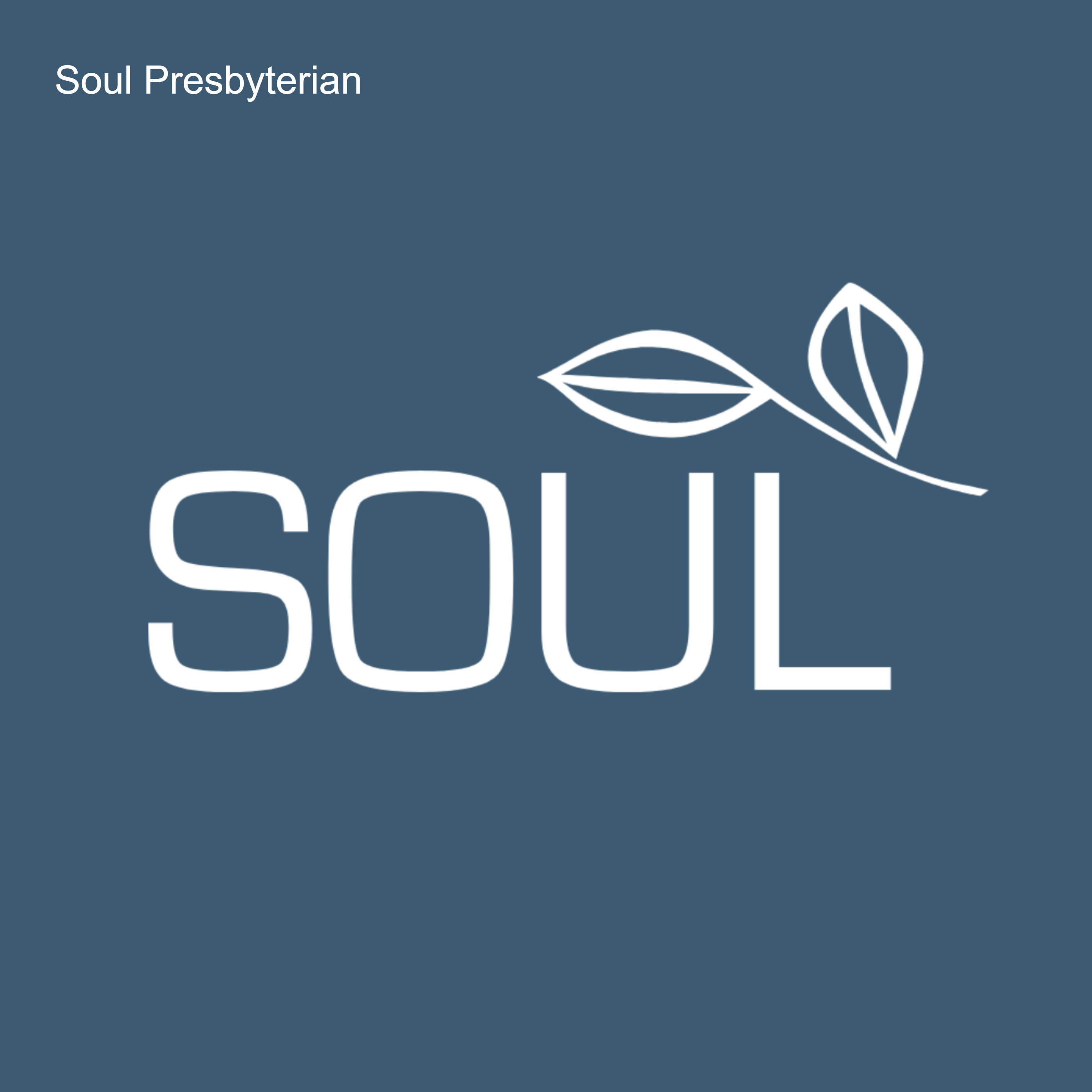 Soul Sermons