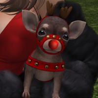 simmers