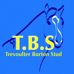 The tbsstallions’s Podcast