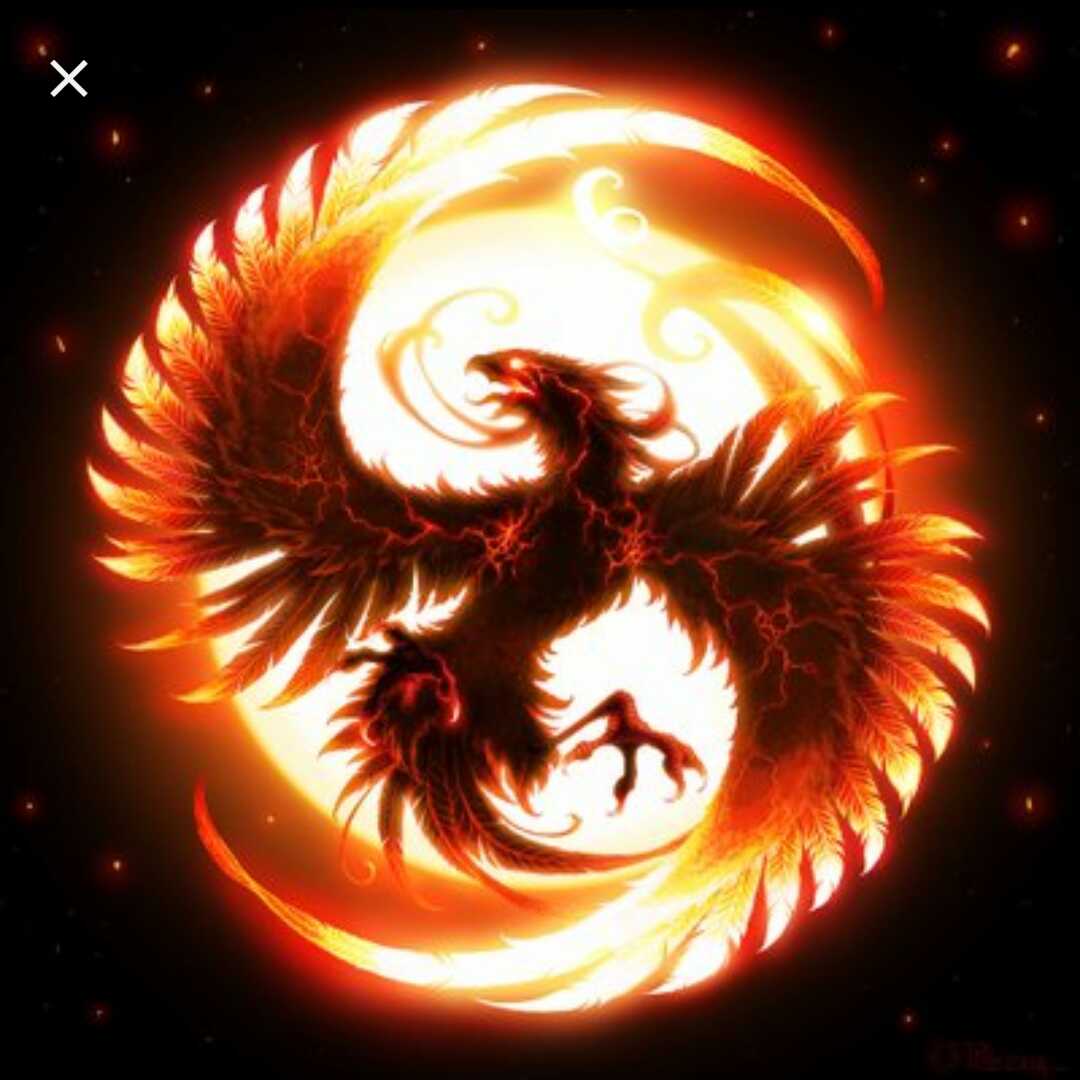 Falconfyre_7