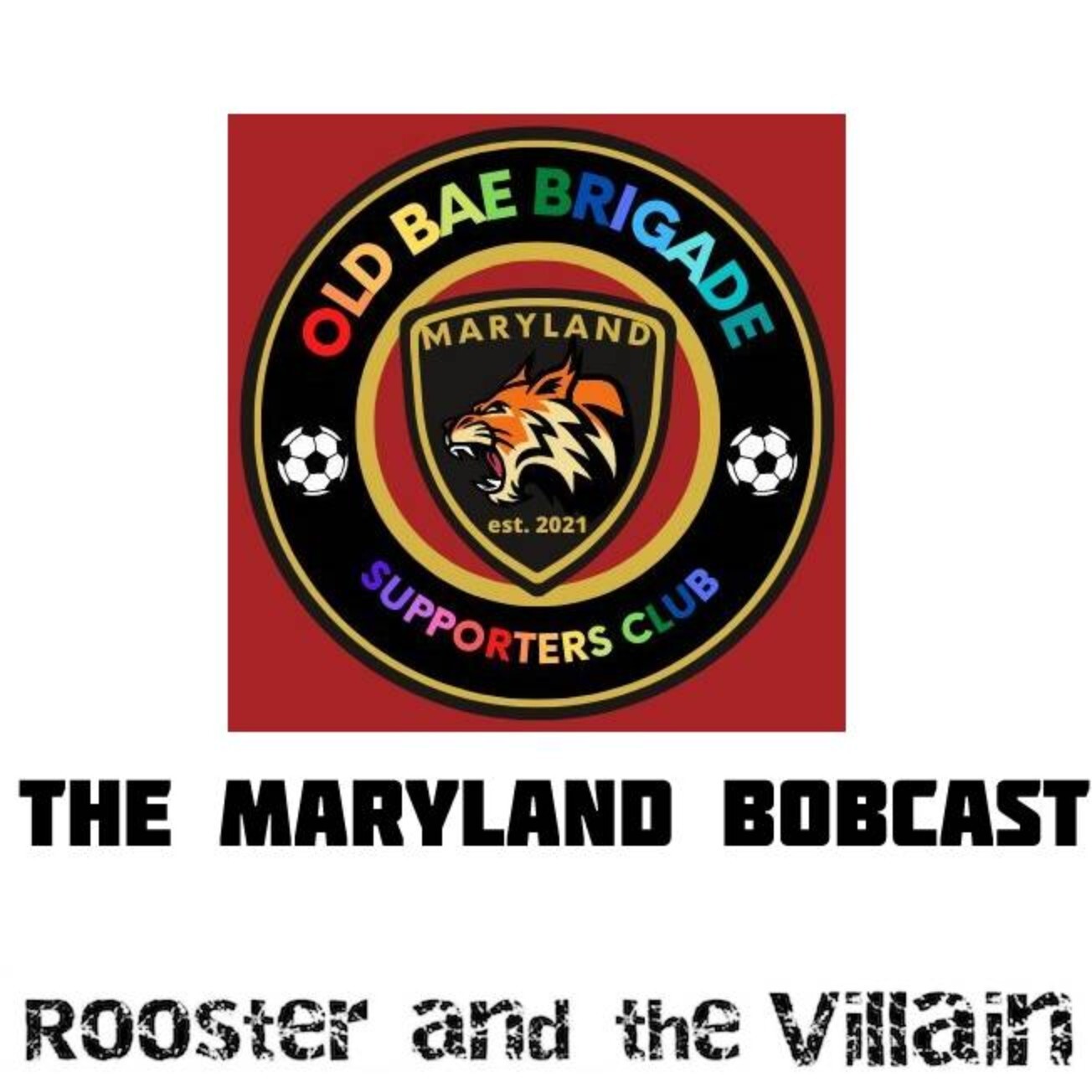 Rooster and the Villain: An American Soccer Podcast