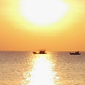 zutuhi