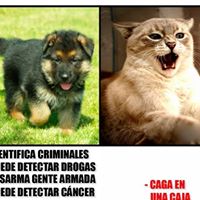 Brt McGrt