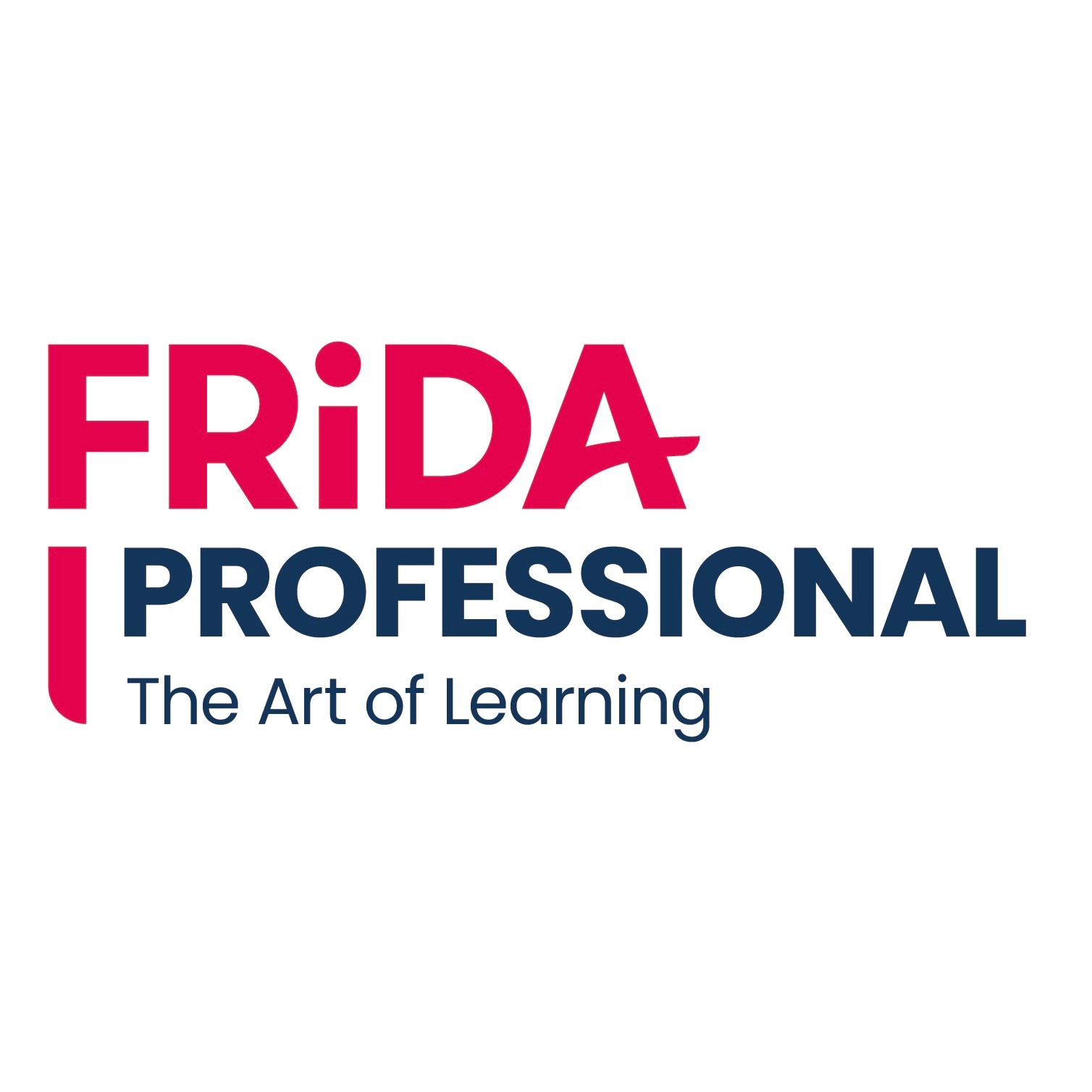 The Art of Learning