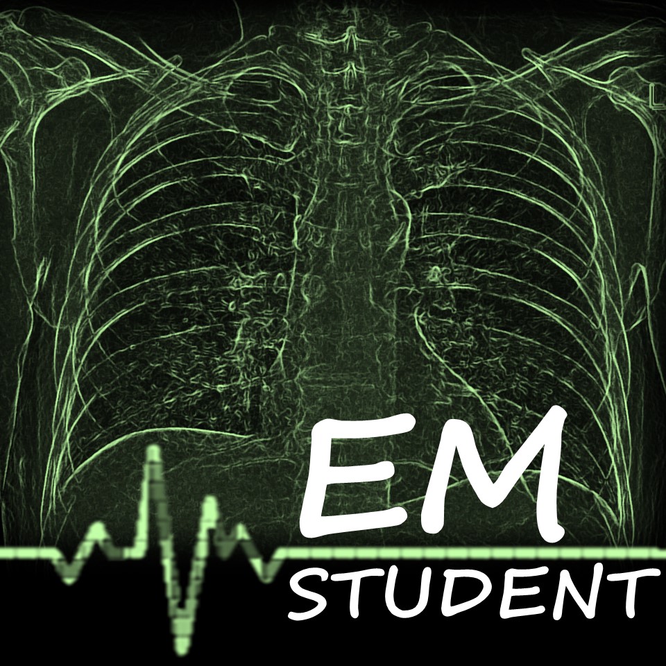 EM Student Podcast