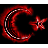 tefnnf
