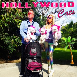 Hollywood Cats Podcast