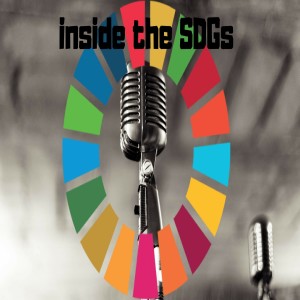 Inside the SDGs