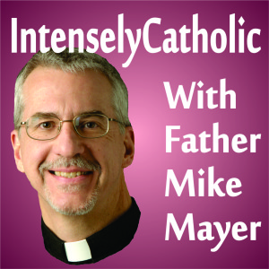 23rd Sunday in Ordinary Time Homily by Fr. Mike Mayer