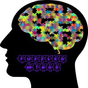 The Puzzled Minds Podcast