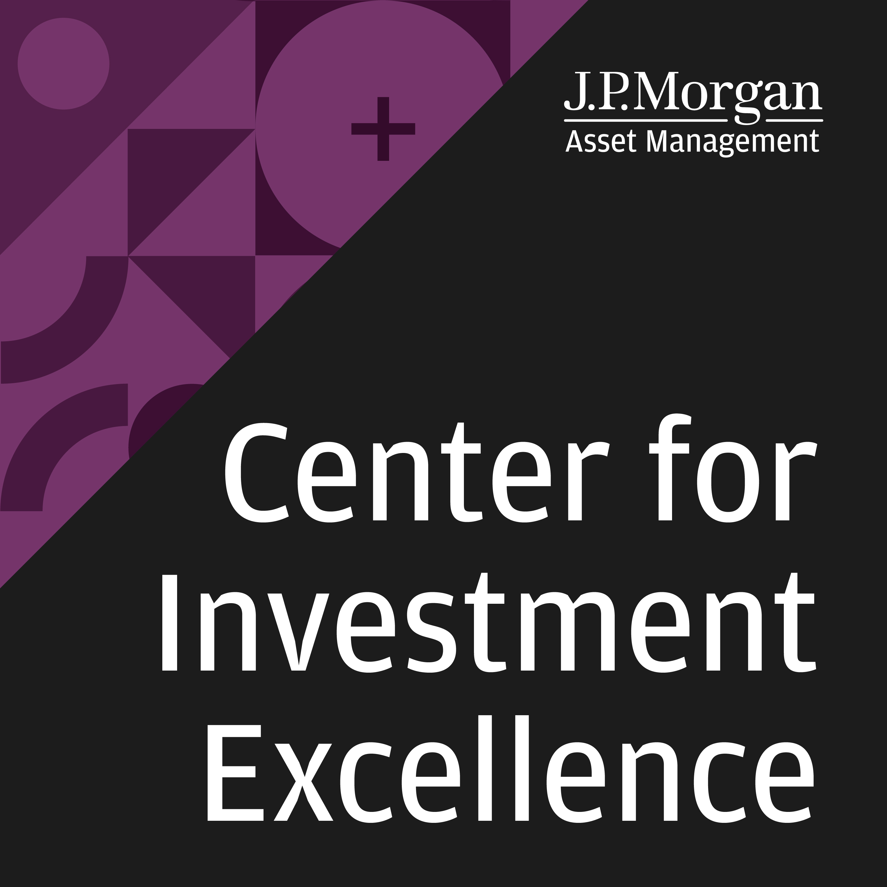 Center For Investment Excellence
