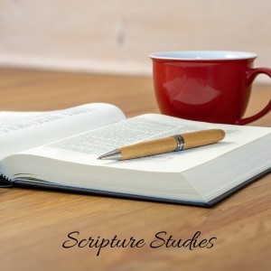 Scripture Studies