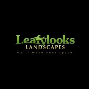The leafylooks's Podcast