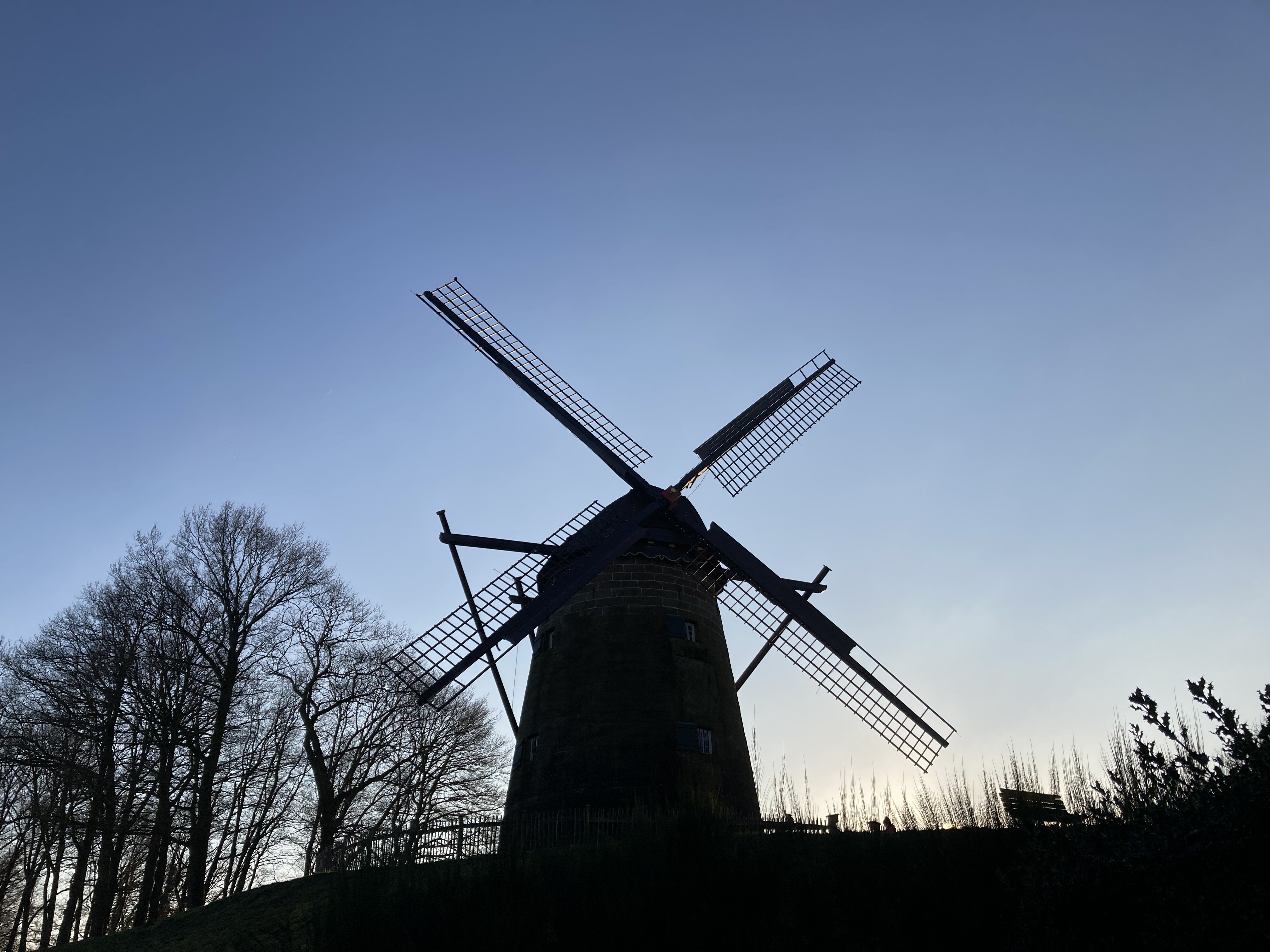 Tussen Branie en Bullshit