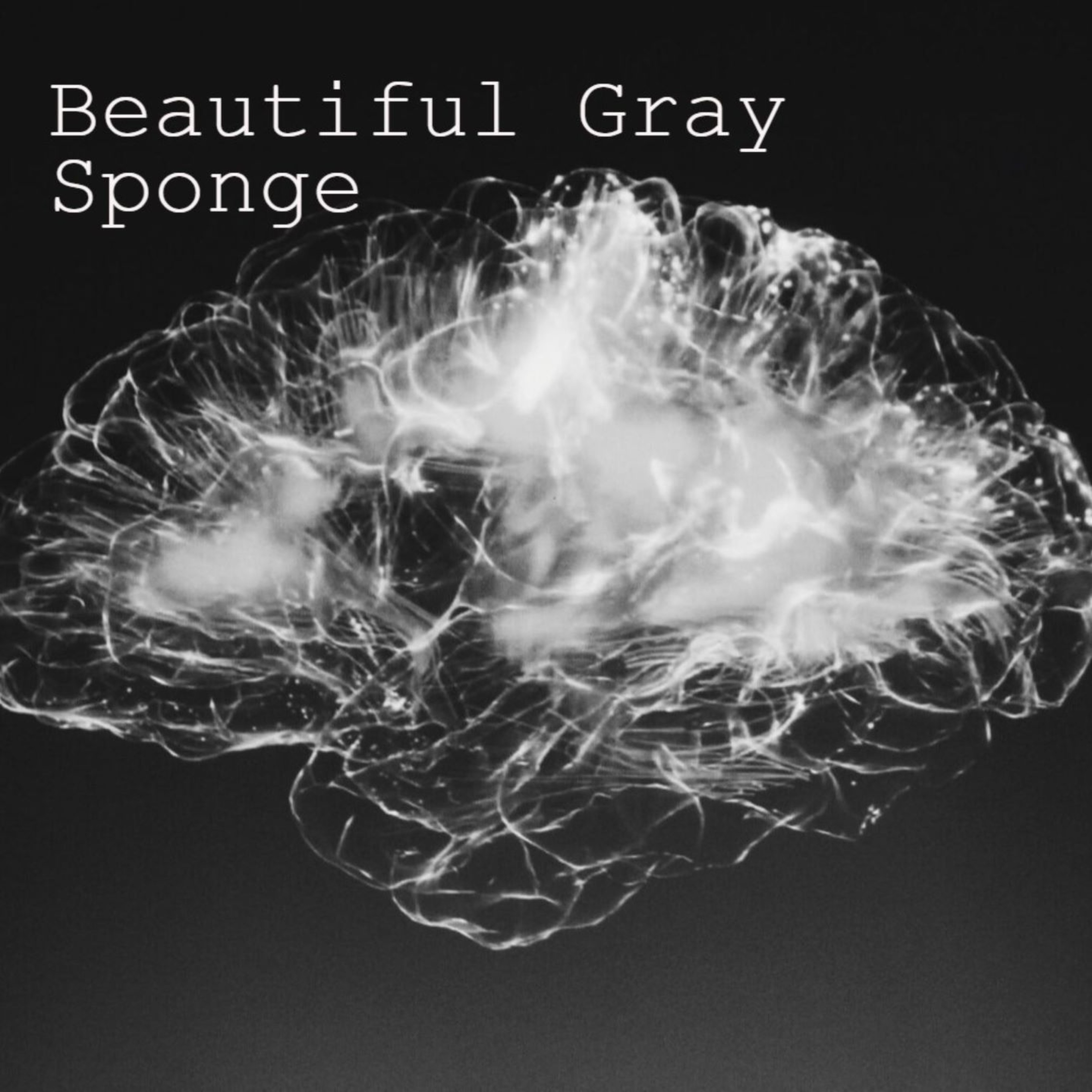 Beautiful Gray Sponge