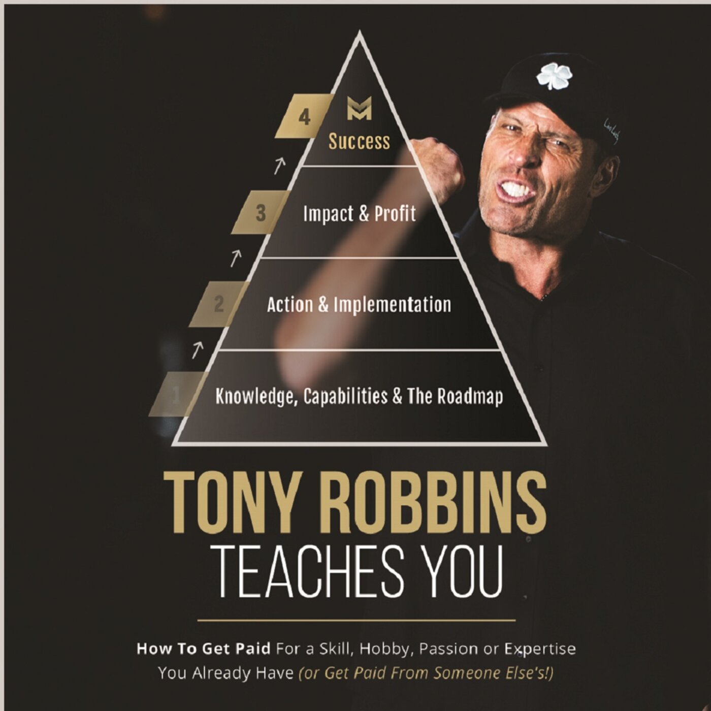 Tony Robbins Knowledge Business Blueprint