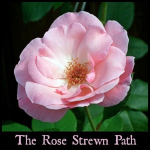 The Rose Strewn Path