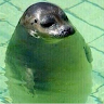 Cerys