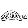 purlturtle