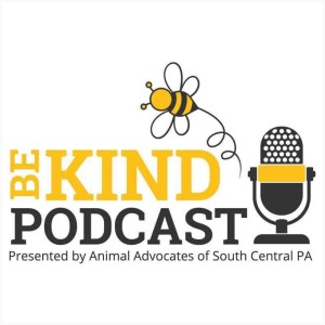 The Be Kind Podcast