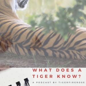 What Does A Tiger Know?