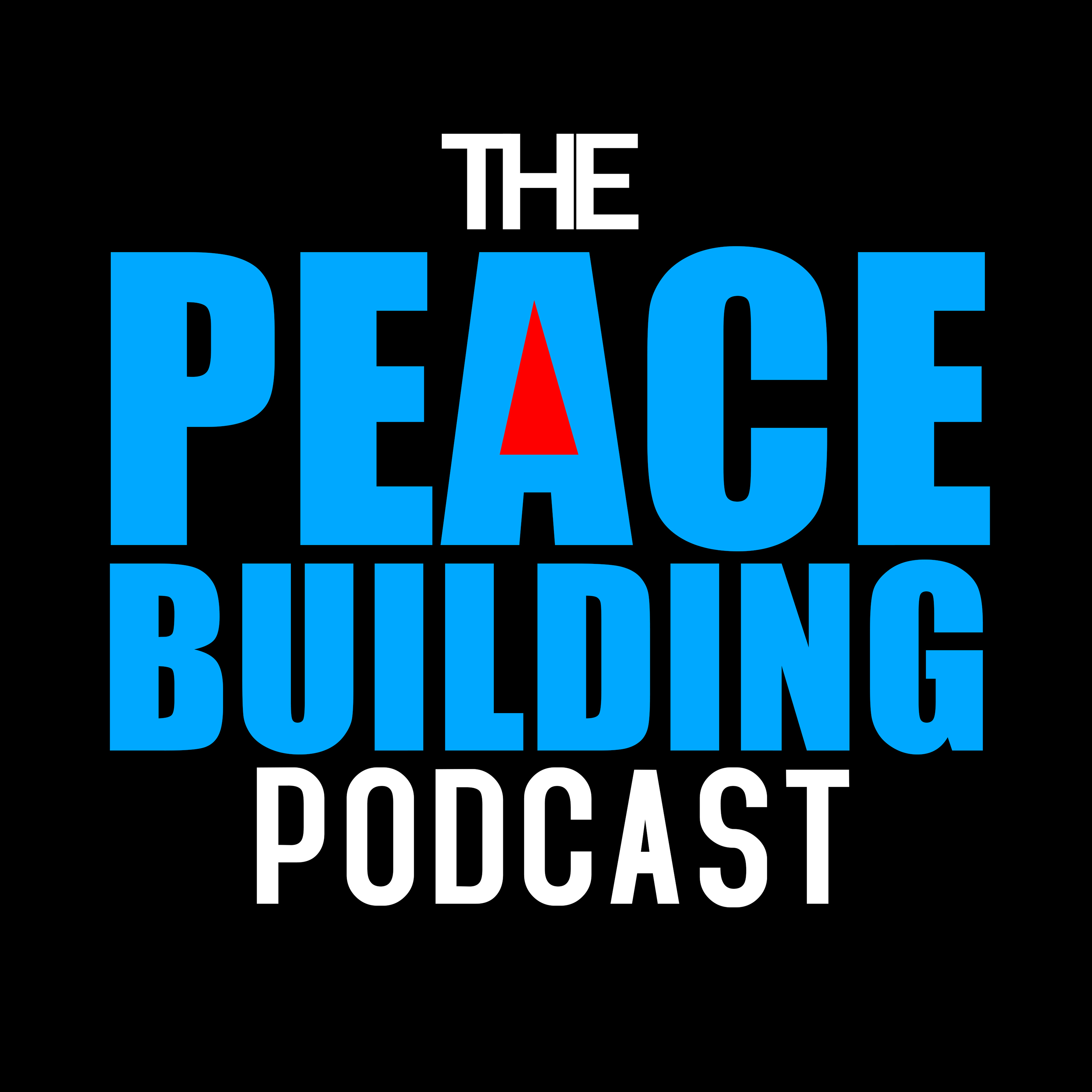 The Peacebuilding Podcast : From Conflict To Common Ground